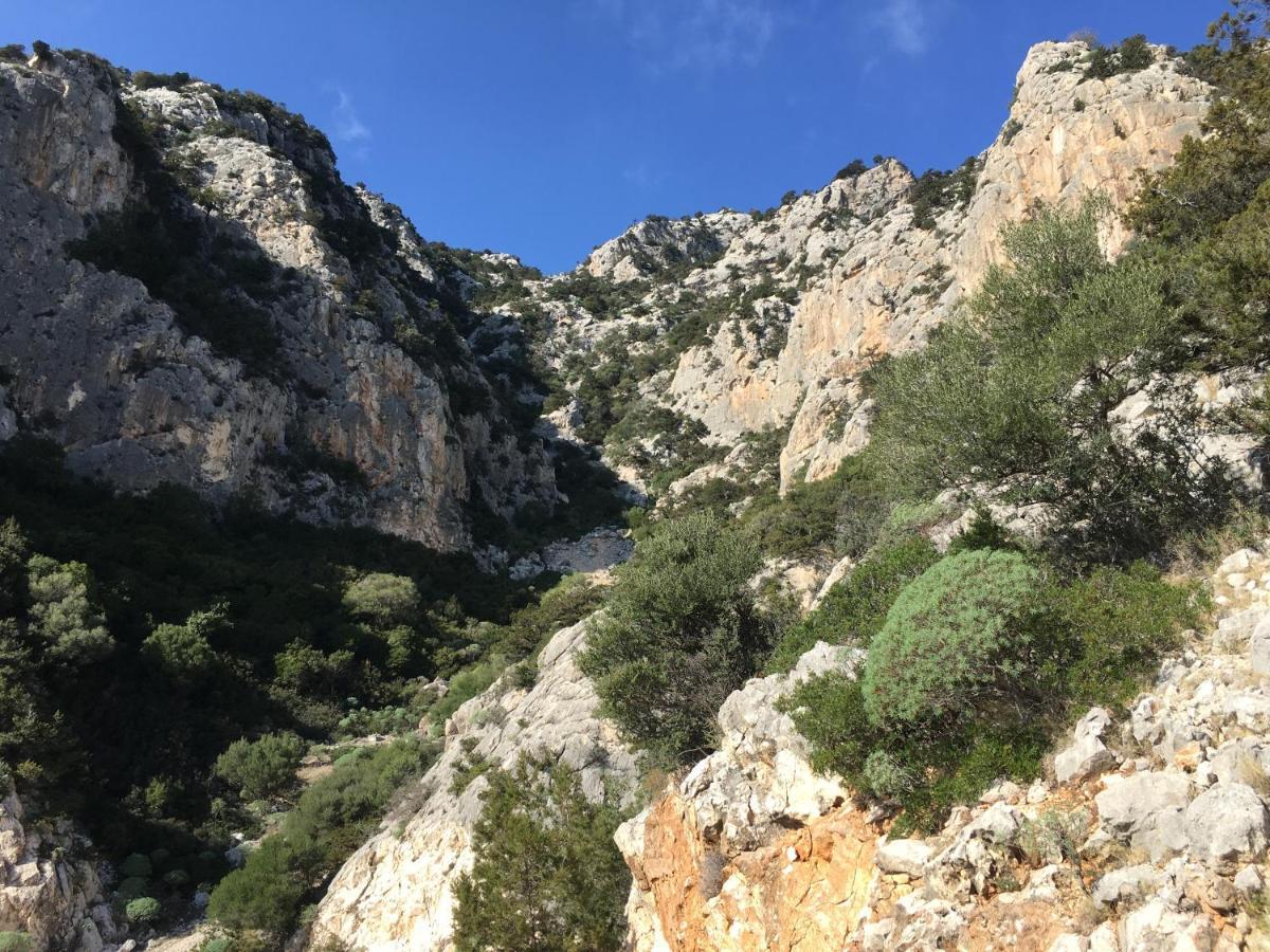 Cav Mameli Aparthotel Dorgali Exterior photo